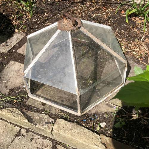 Garden Cloches